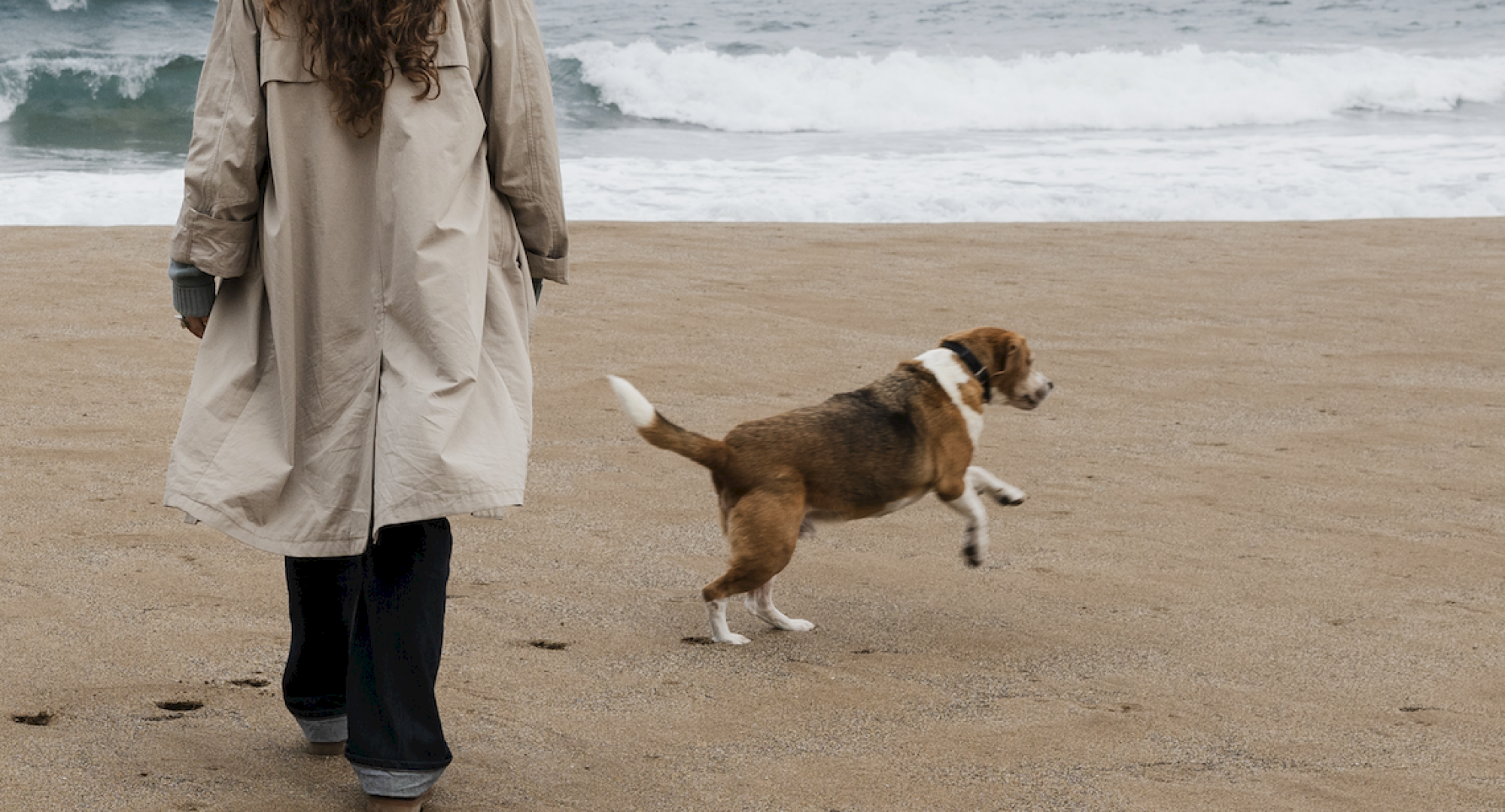 A person and a dog walking on a beach, with waves crashing onto the shore under a cloudy sky.