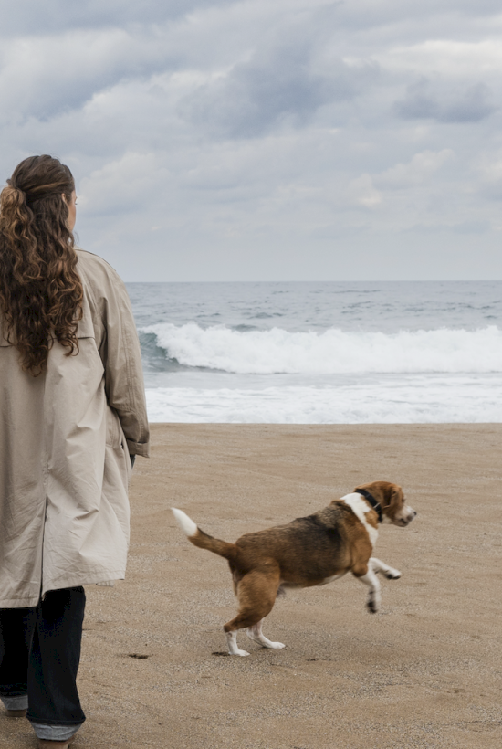 A person in a coat and a dog are on a sandy beach, near the ocean with waves under a cloudy sky.